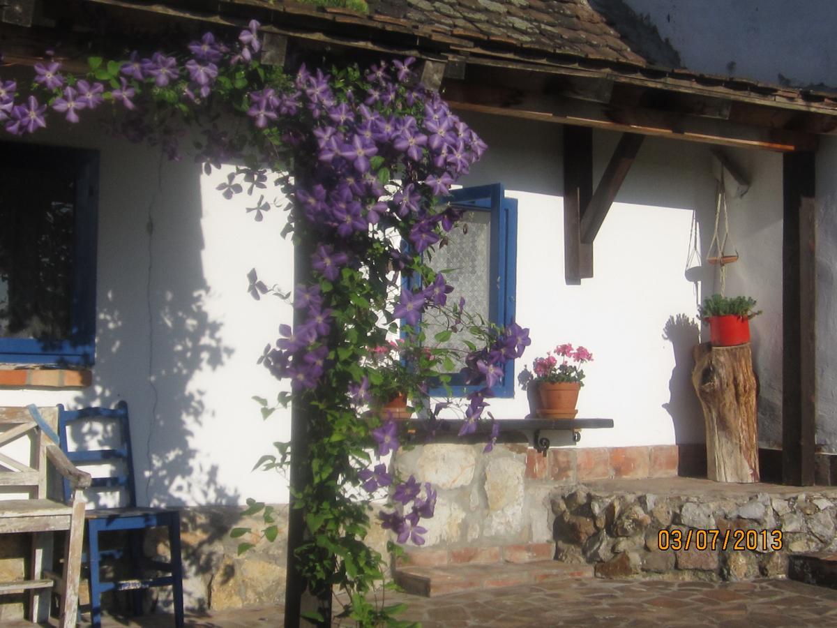 Guest House Vila Albedo Varna Exterior photo